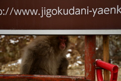 282FF4D0-4661-4274-BCAF-347AA676D4E9