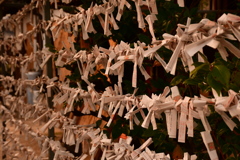 0AAD959C-17CB-4EB1-8C6C-FC9B03056AE8