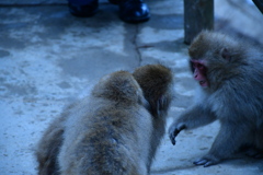 C72B174C-64B0-43E1-8EF9-1867A7AD5B71