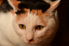 3C69F18D-9F71-48C7-8C97-C81C5CA6A5F9