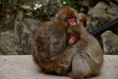 8D7251D0-462A-4A03-9022-F93CDD72DD9F