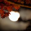 moonlight