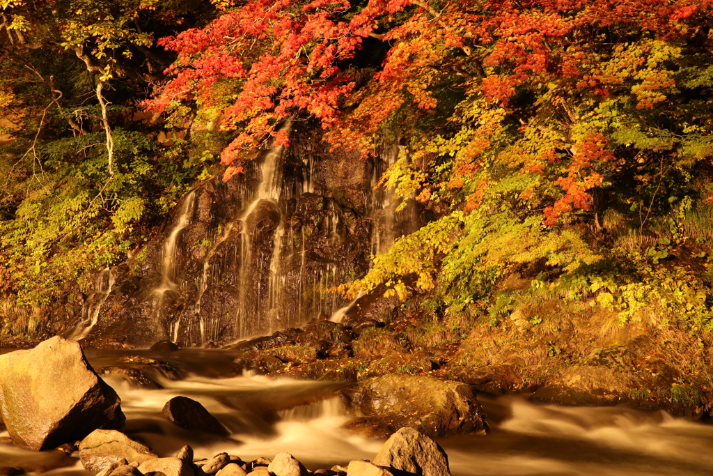 青森の紅葉