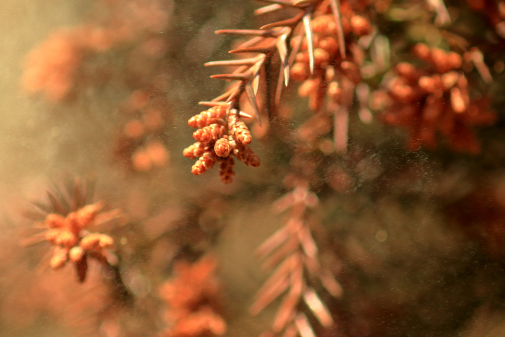 うわぁぁぁーーーー( ; ゜Д゜)