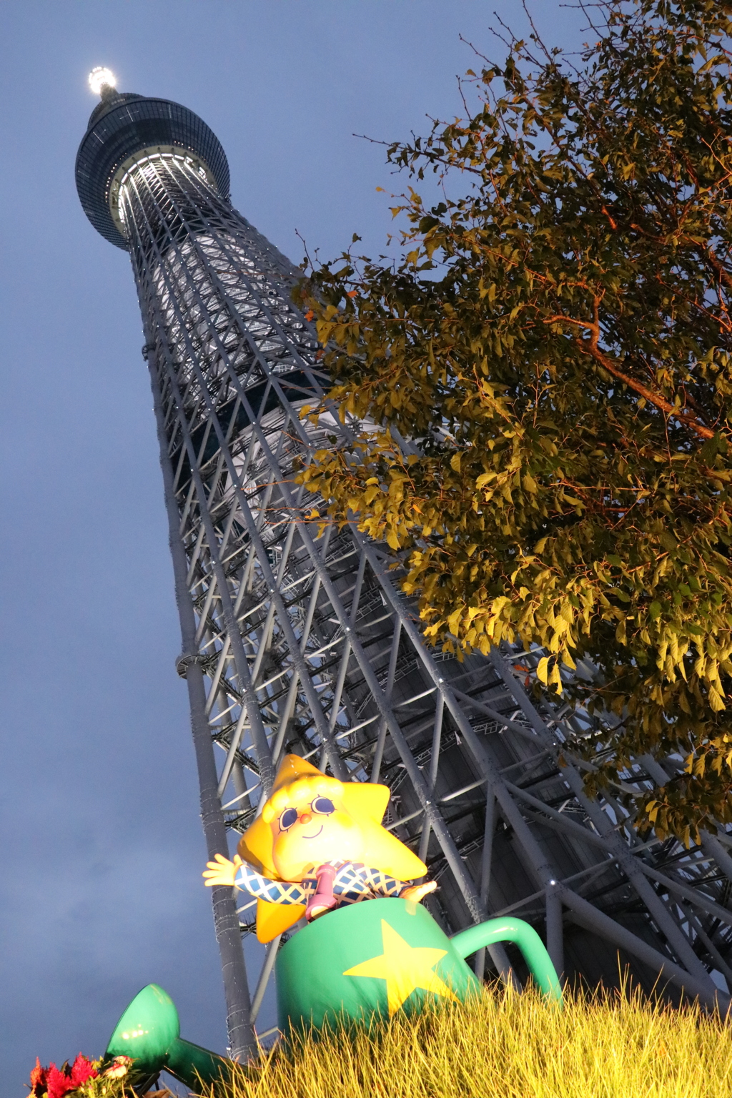 こちらがスカイツリーになりまーす！