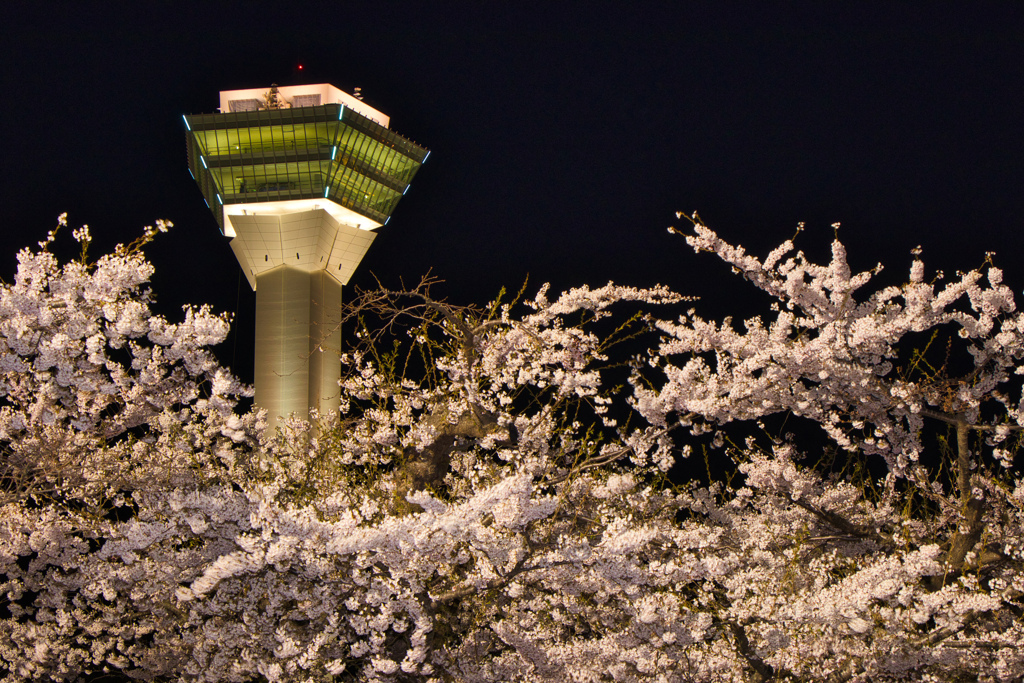 TOWER　OF