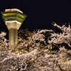 TOWER　OF