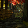 紅い暖簾
