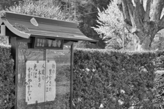 教え