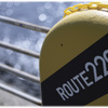R229