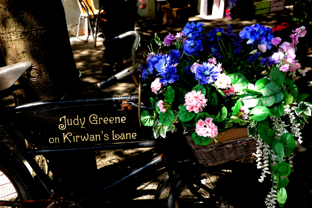 Ireland Kirwan's Lane