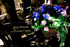 Ireland Kirwan's Lane