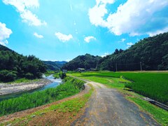 田舎の夏