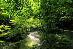 帝釈峡