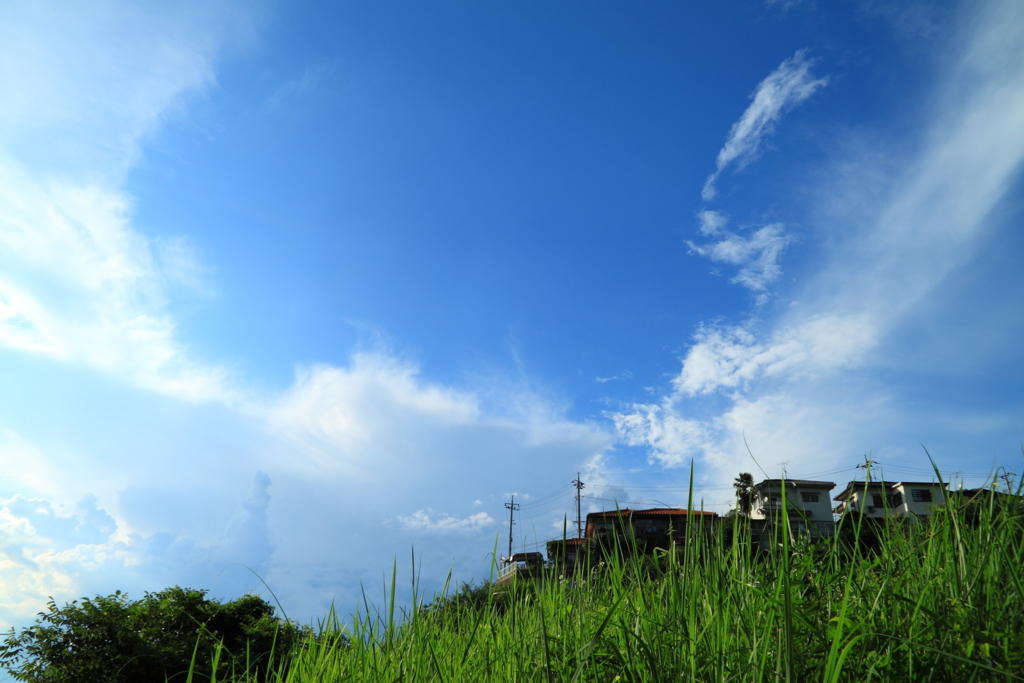 子供のころの視界