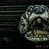 welcom in the dark