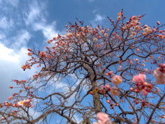 よく行く公園にて