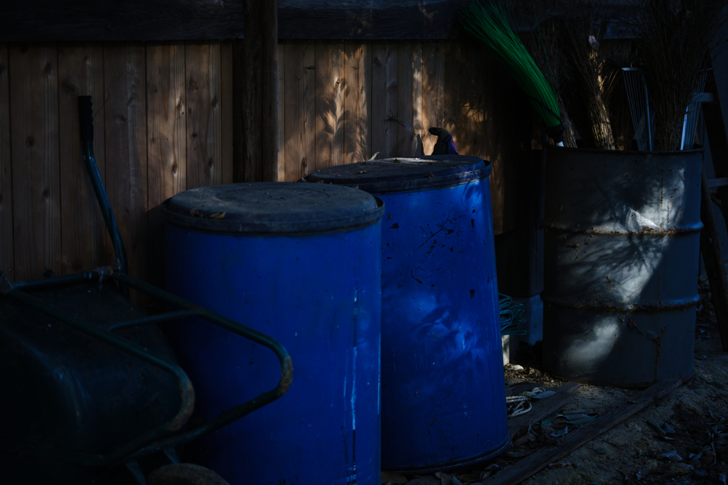 日陰のリアリティー