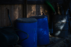 日陰のリアリティー