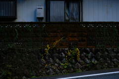 Dark Photo  誰もいない家