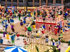 来年の夏は・・