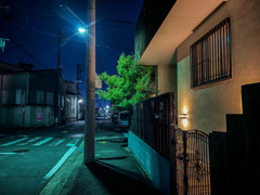 夜スナップ解禁