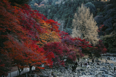 2025-香嵐渓にて06