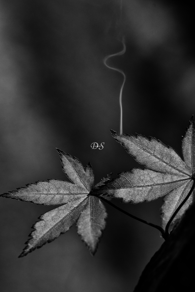 扇