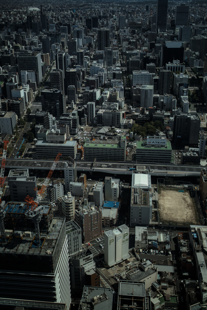 2025-墓石群