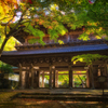 2022-永源寺-山門
