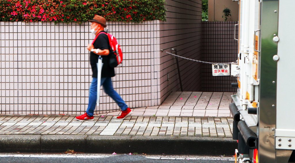 ウォーキング・レッド（IN 千葉市)