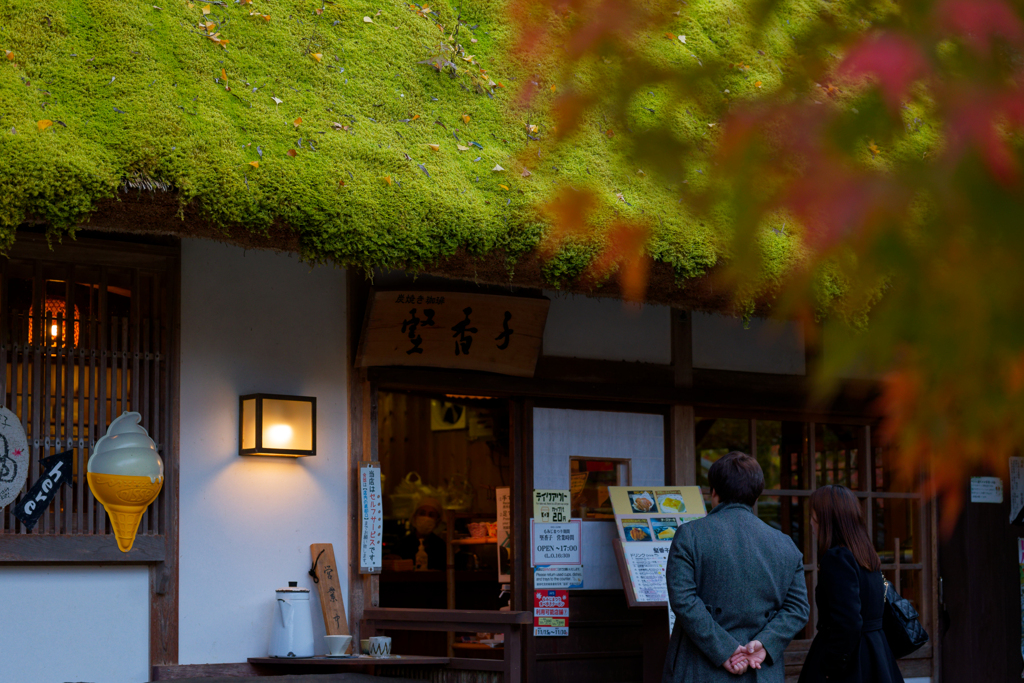 2025-香嵐渓にて05