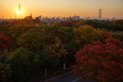 ぼくの街から見える夕日～とある屋上より