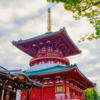 2024-成田山-平和大塔