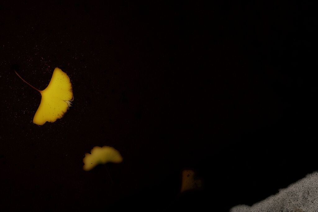 闇堕ち