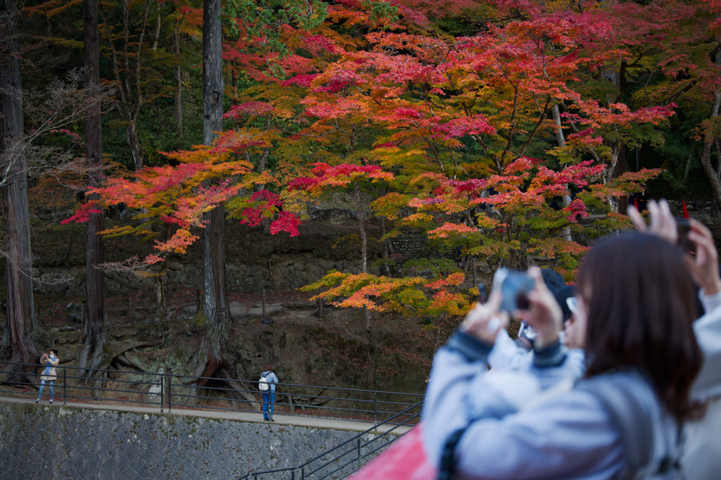 2025-香嵐渓にて-02