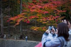 2025-香嵐渓にて-02