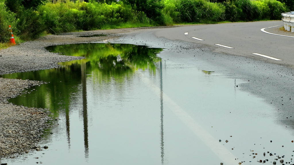 水たまりの世界