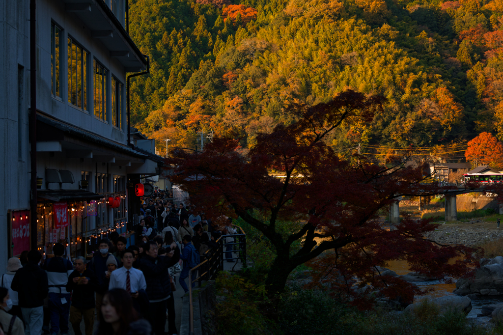 2025-香嵐渓にて-01