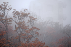 2025ー御在所岳03