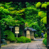 白林禅寺