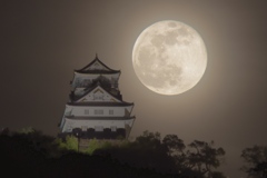 岐阜城と月