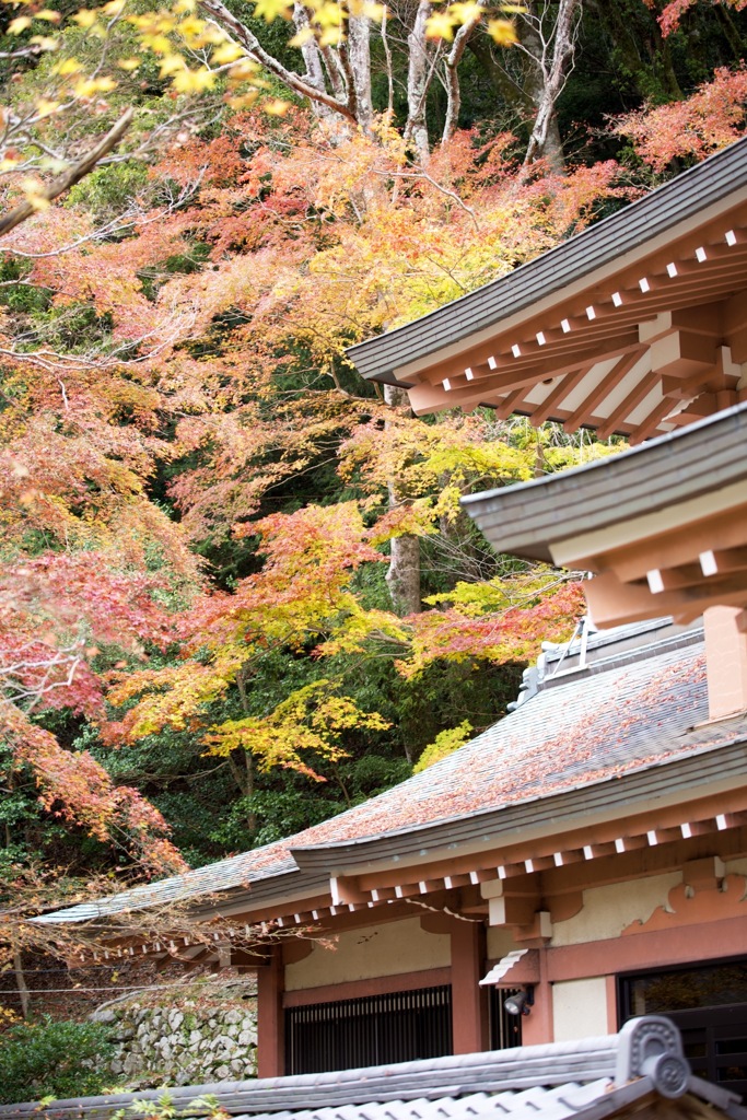 永源寺にて