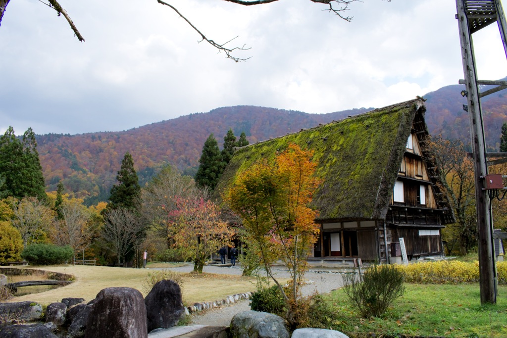 白川郷の合掌造り