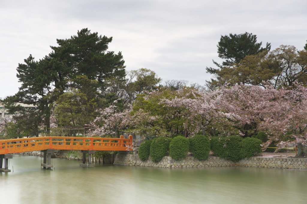 九華公園にて