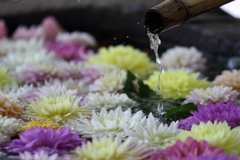 花手水
