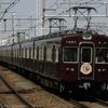 5300 series 50th anniversary