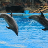 アーチジャンプ