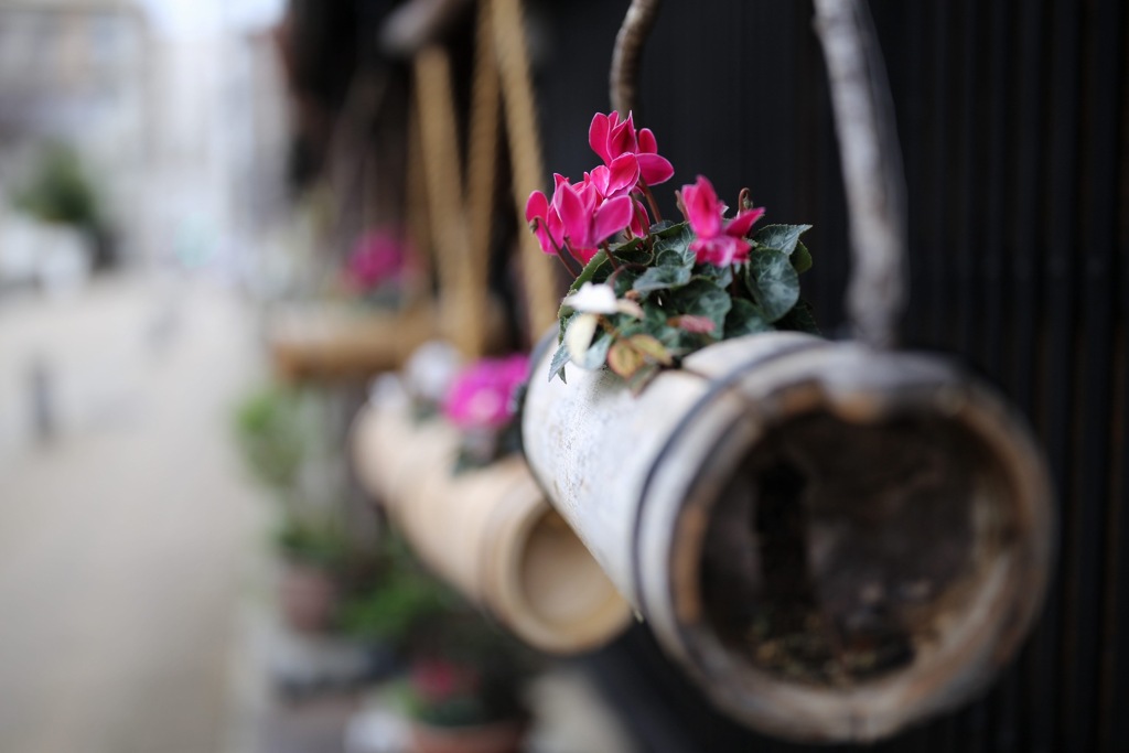 20191229150826_IMG_9003