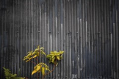 20191229150700_IMG_9002